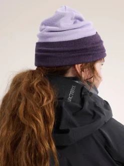 Arc'teryx Colour Block Toque