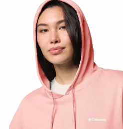 Columbia Women's Aldermore Hoodie