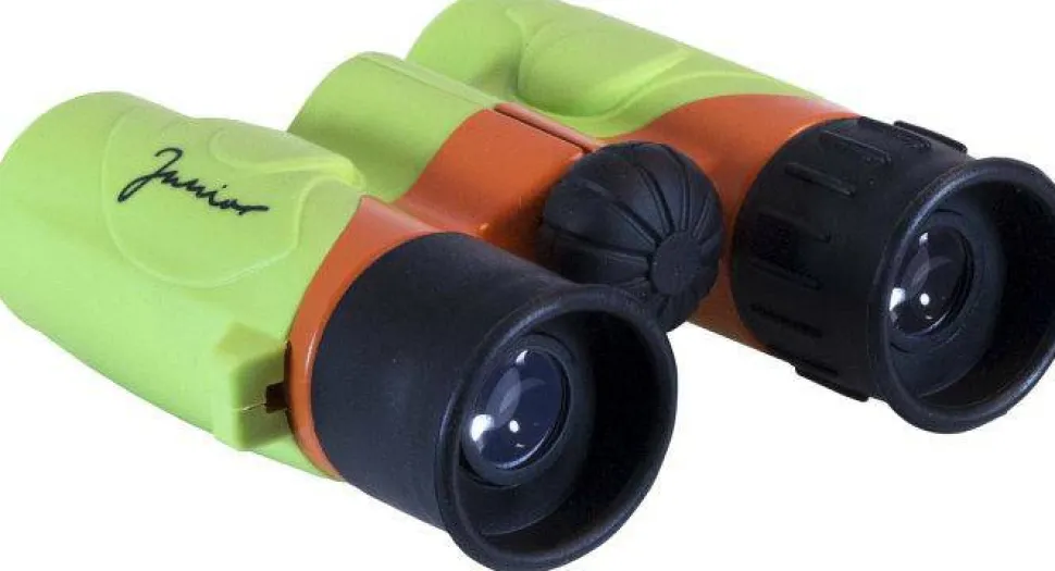 Focus Junior 6x21