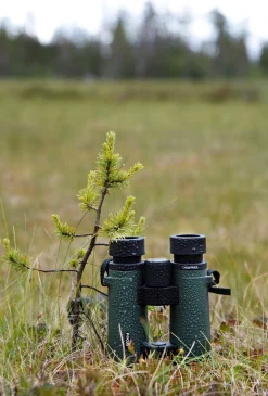 Focus Observer 10x34 HD