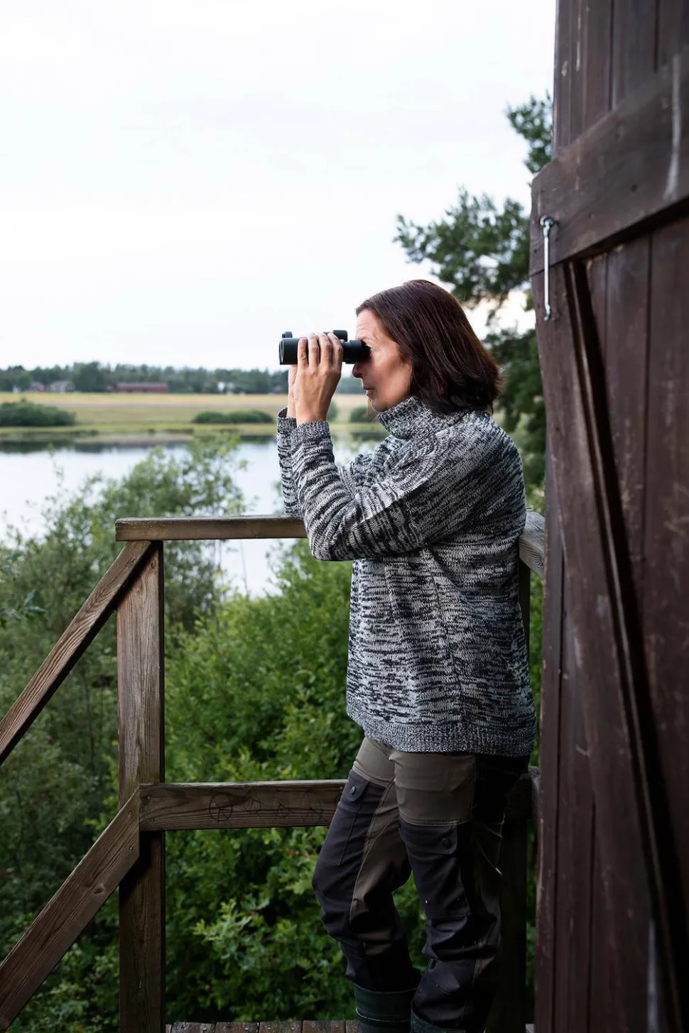 Focus Observer 10x34 HD