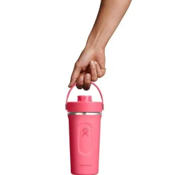 Hydro Flask 24oz Insulated Shaker Bottle