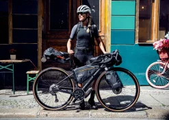 Ortlieb Frame-pack 4