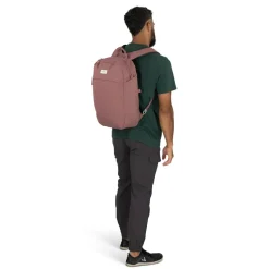 Osprey Arcane Large Day