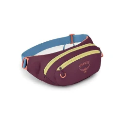 Osprey Daylite Waist