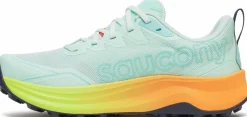 Saucony Women's Peregrine 16