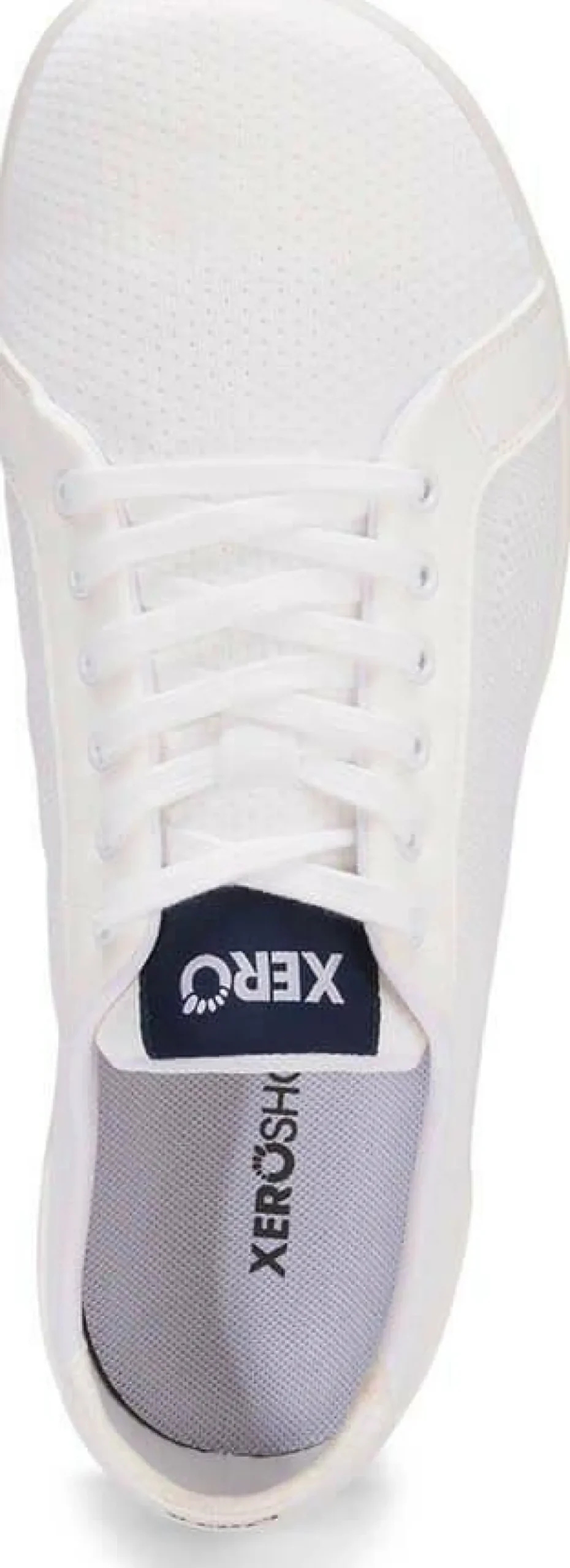 Xero Men's Dillon